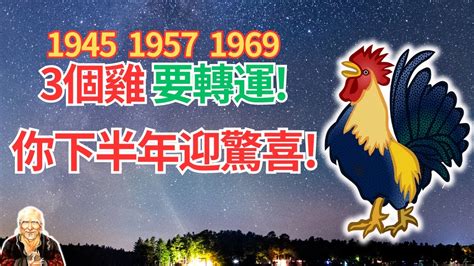 1969生肖雞|1969年的屬雞人：一生一世命運，神算！